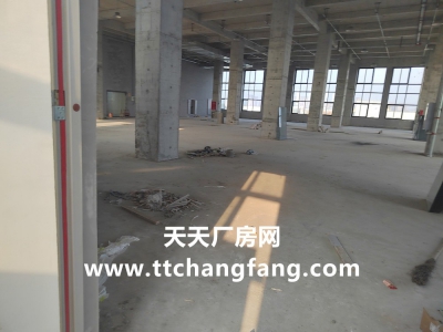 温江全新食品标准厂房出租图5
