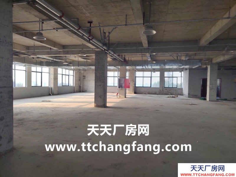 温江全新食品标准厂房出租