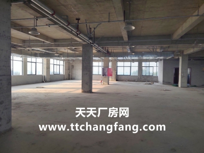 温江全新食品标准厂房出租图4