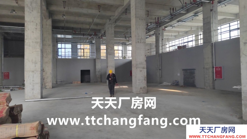 温江全新食品标准厂房出租