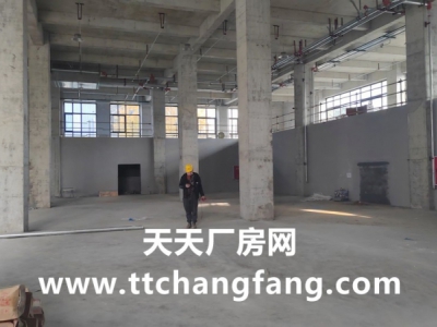 温江全新食品标准厂房出租图6