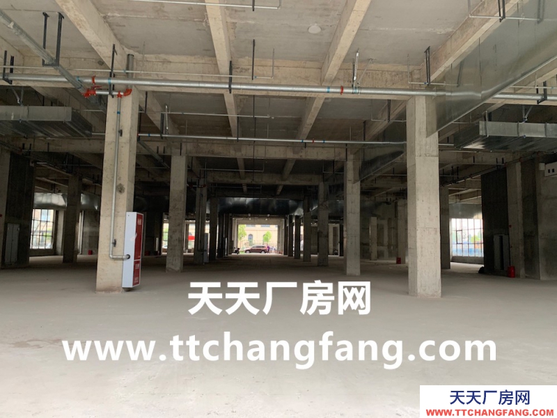 温江食品多层标准食品厂房现房出租