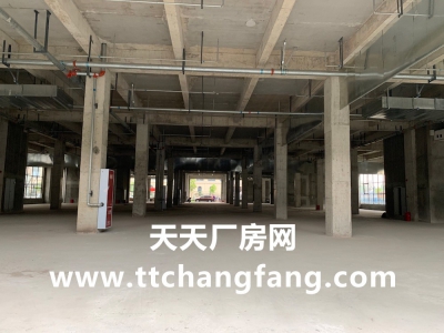 温江食品多层标准食品厂房现房出租图2