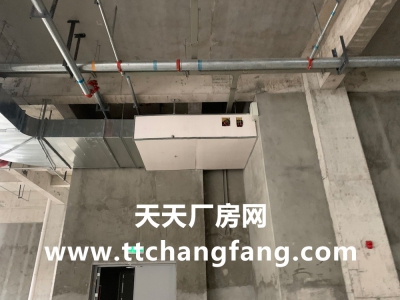温江食品多层标准食品厂房现房出租图3