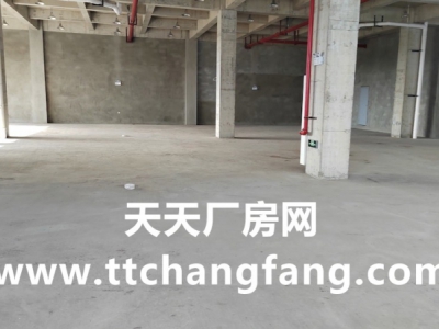 彭州中央厨房厂房出租，彭州预制菜厂房出租图2