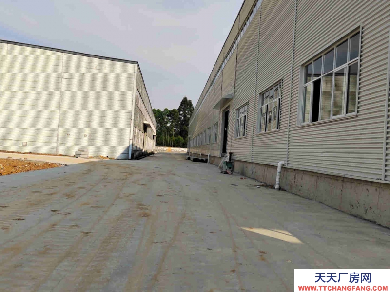 城南离市中心超近的双流食品厂房出租，现房入驻