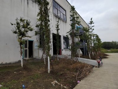 成都市新津区食品园区厂房出租3000-15000平米可分租图5