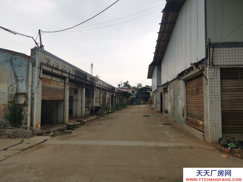 出租龙泉驿大面厂房、库房、临街铺面