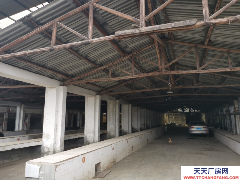 出租龙泉驿大面厂房、库房、临街铺面