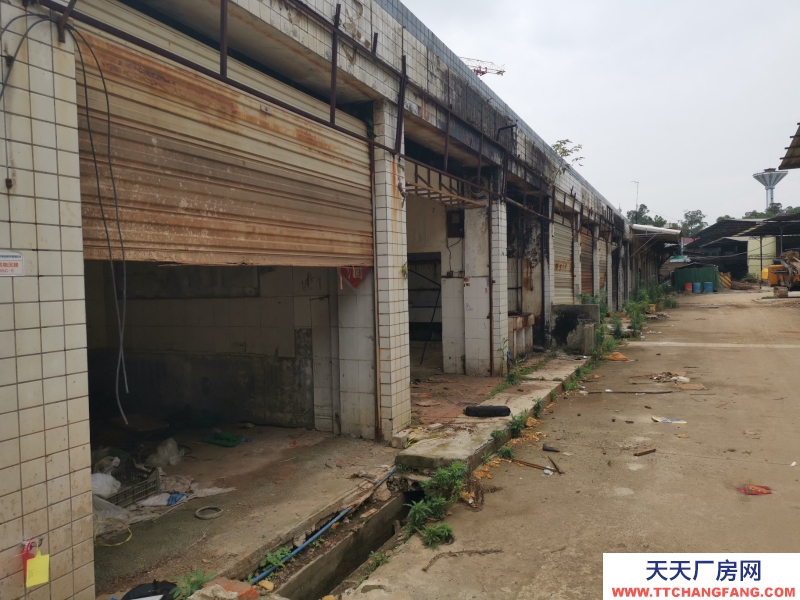 出租龙泉驿大面厂房、库房、临街铺面