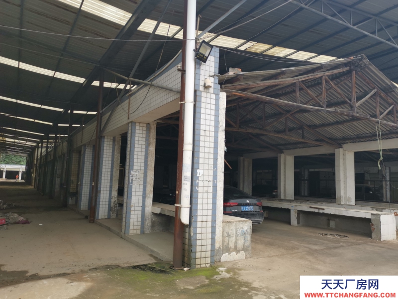 出租龙泉驿大面厂房、库房、临街铺面