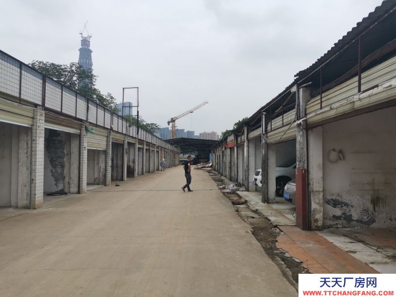 出租龙泉驿大面厂房、库房、临街铺面