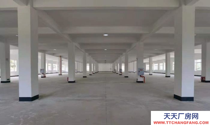重庆厂房出租 全新框架厂房，李渡小企业基地