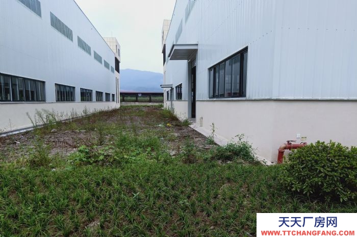重庆净高11米优质厂房 您发家的兴旺之地