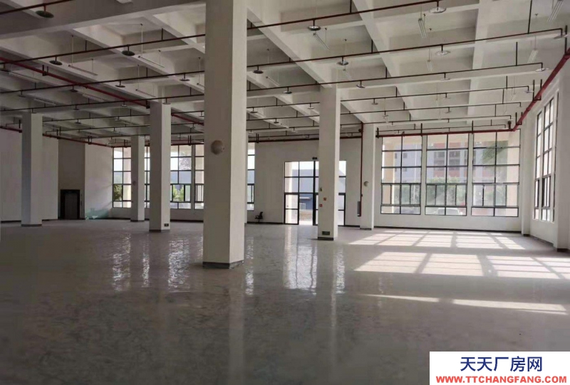重庆大渡口建桥工业园C区旁厂房出租