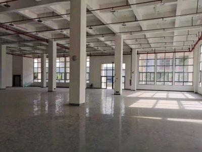 重庆大渡口建桥工业园C区旁厂房出租图2