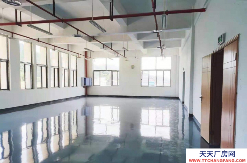重庆大渡口建桥工业园C区旁厂房出租