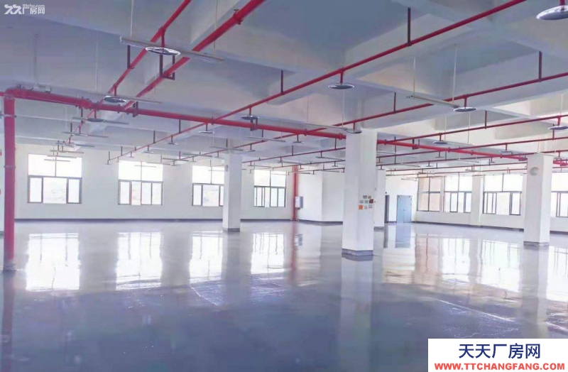 重庆大渡口建桥工业园C区旁厂房出租