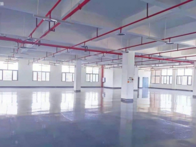 重庆大渡口建桥工业园C区旁厂房出租图3
