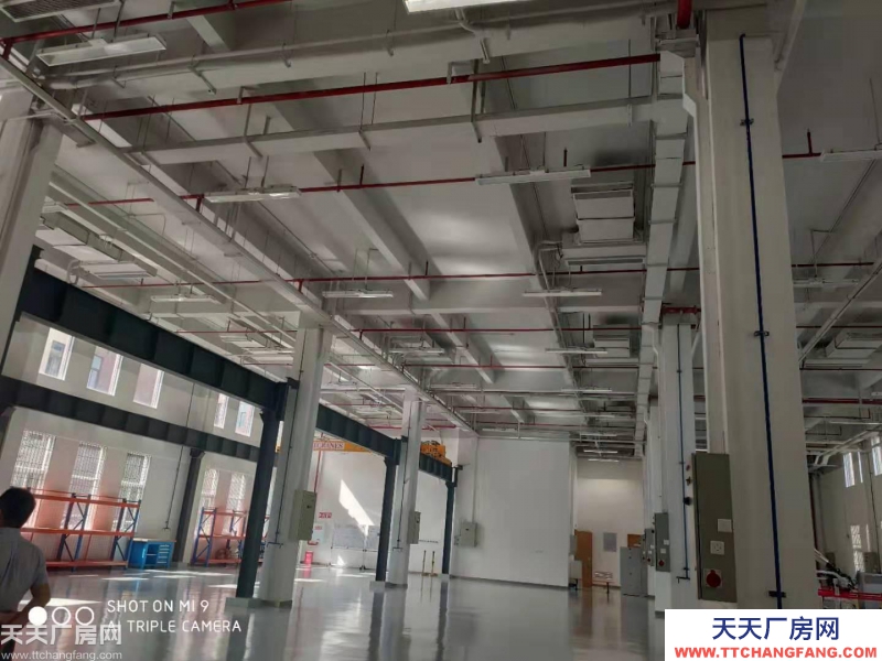 独栋标准厂房租售，优质产业聚集，带环评