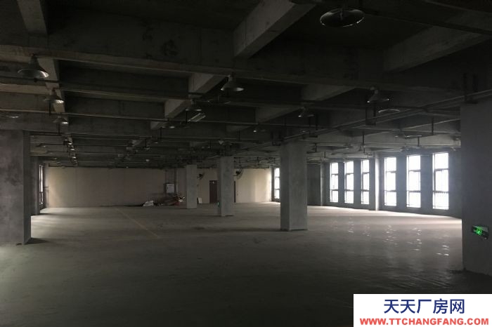 寸滩曙光园区标准独立厂房出租，可用做仓库或机加工