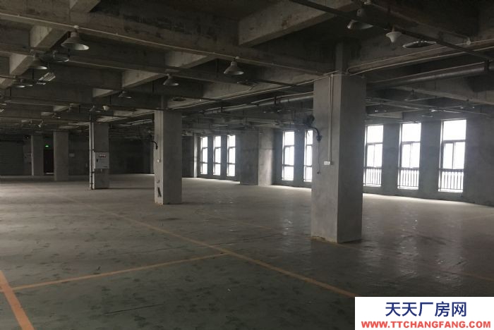 寸滩曙光园区标准独立厂房出租，可用做仓库或机加工