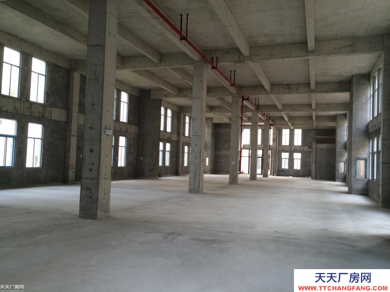 500-2000㎡，稀缺标准厂房 火热招租 园区直招