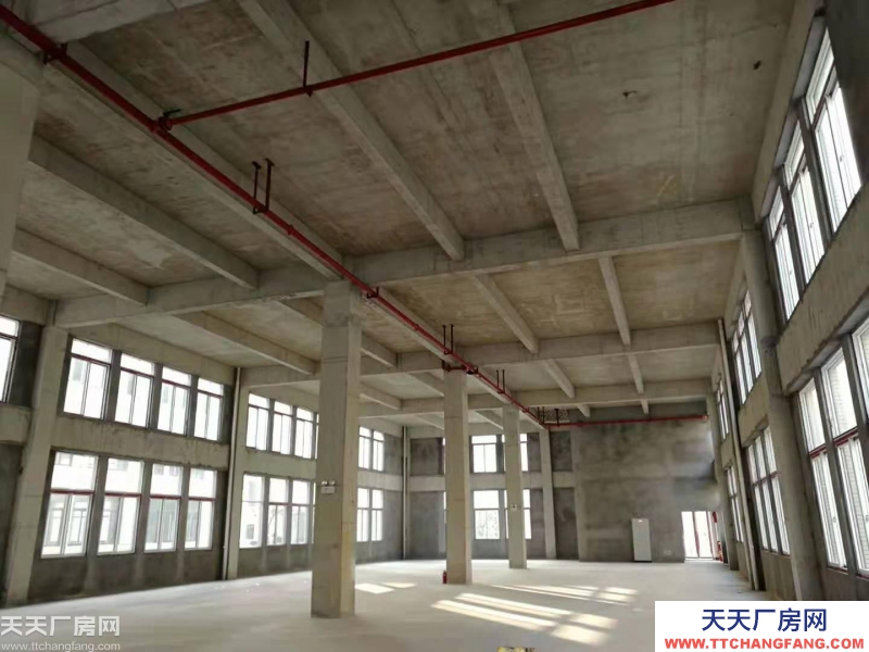 500-2000㎡，稀缺标准厂房出售——区位极佳