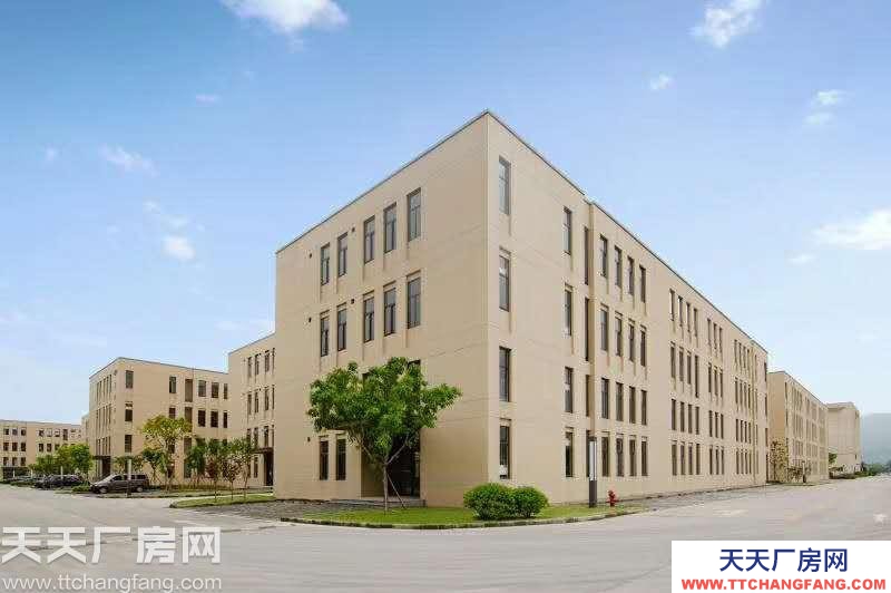 低首付  50年大产权 稀缺独栋标准厂房