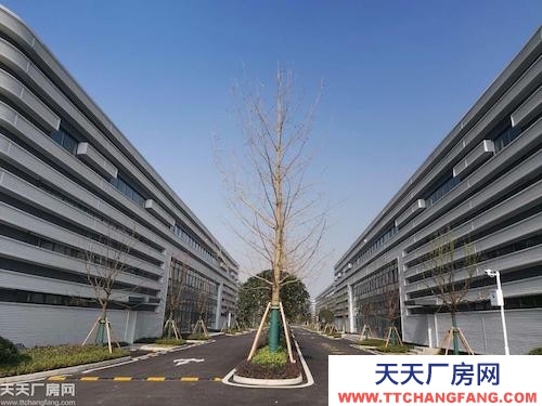两江新区江渝北 稀缺小户型 实用标准厂房 适合生产研发办公
