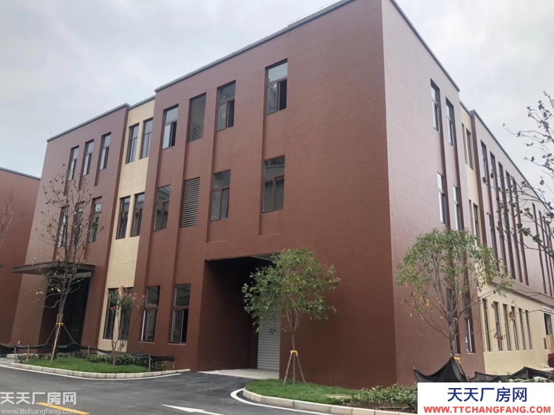 主城稀缺户型——标准厂房出售 + 带独立产权