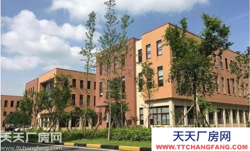 沙坪坝曾家单层 钢结构 标准厂房出租