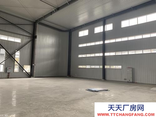 高新区沙坪坝 单层轻钢结构 出租，11米层高，可分租