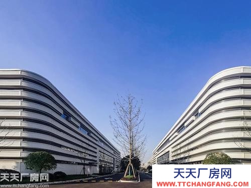 高新区沙坪坝 单层轻钢结构 出租，11米层高，可分租
