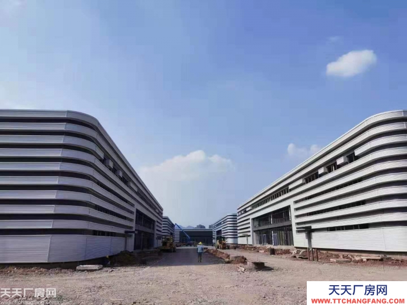 （出租）灵活小户 独立产权 1000㎡起 标准厂房