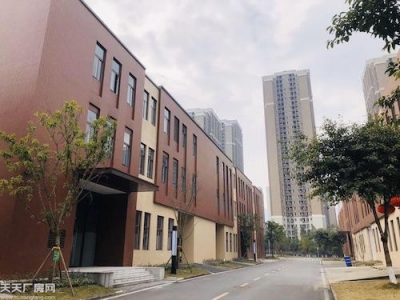 租售高新区开发区品质厂房 享政策 配套齐全图3