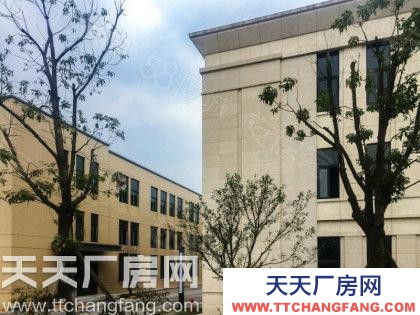 重庆沙坪坝800-8000厂房出租