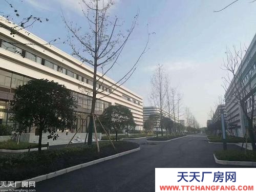 沙坪坝大学城（单层）轻钢厂房出租（空高11米）