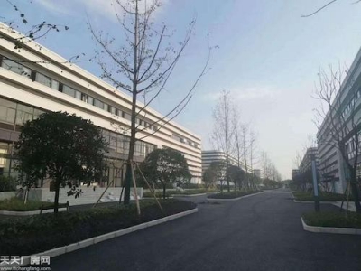 沙坪坝大学城（单层）轻钢厂房出租（空高11米）图4