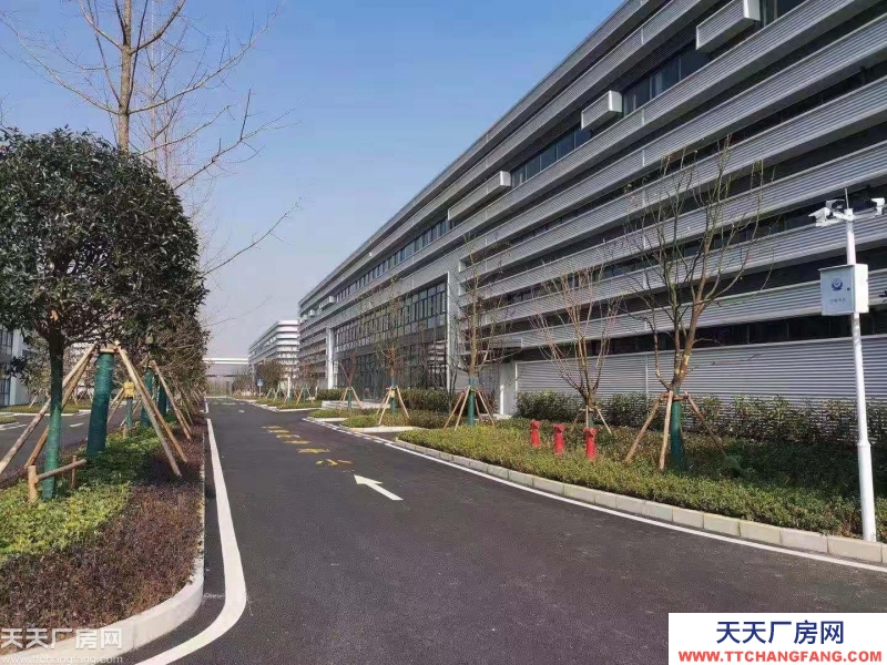 大学城仅有的正规厂房出租