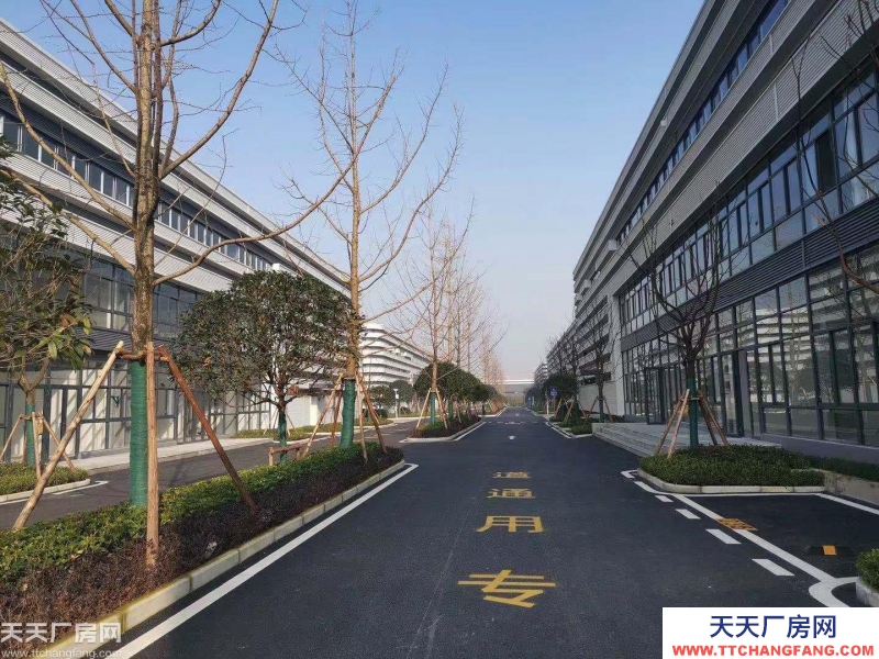大学城仅有的正规厂房出租