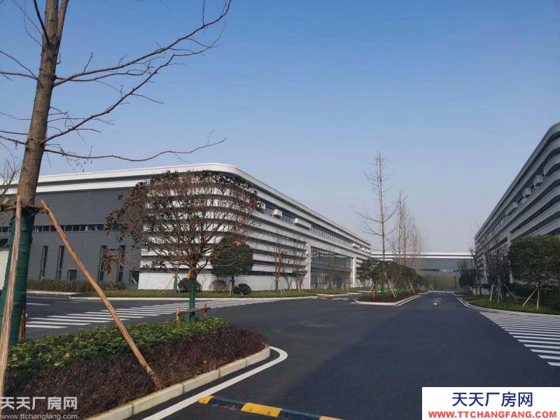 大学城仅有的正规厂房出租