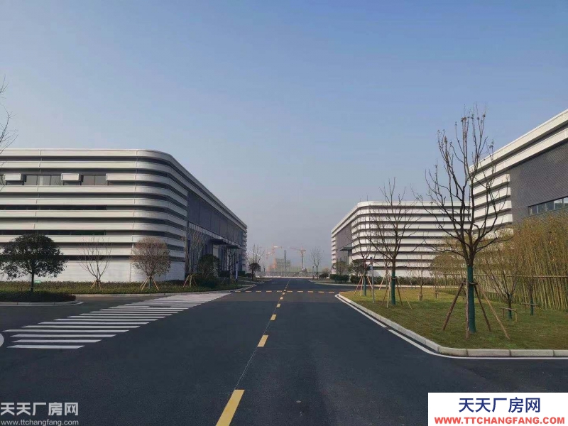 大学城仅有的正规厂房出租