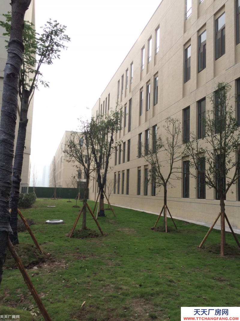 沙坪坝大学城厂房租售