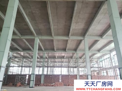出租售 灵活小户 独立产权 1000㎡起 标准厂房