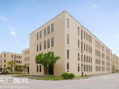 出租售 灵活小户 独立产权 1000㎡起 标准厂房