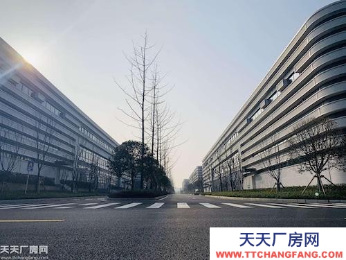 高新区优质单层钢构/稀缺厂房 联动招商 独立产权