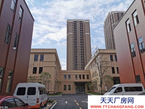 稀缺厂房 联动招商 双福新区国际企业港