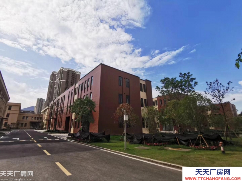四盘联动招商，环绕重庆主城