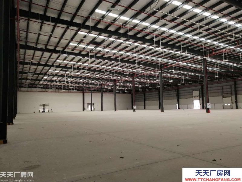 重庆市九龙坡区15万方标准库出租